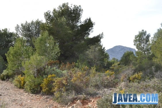 Jávea prepara la campaña de vigilancia forestal