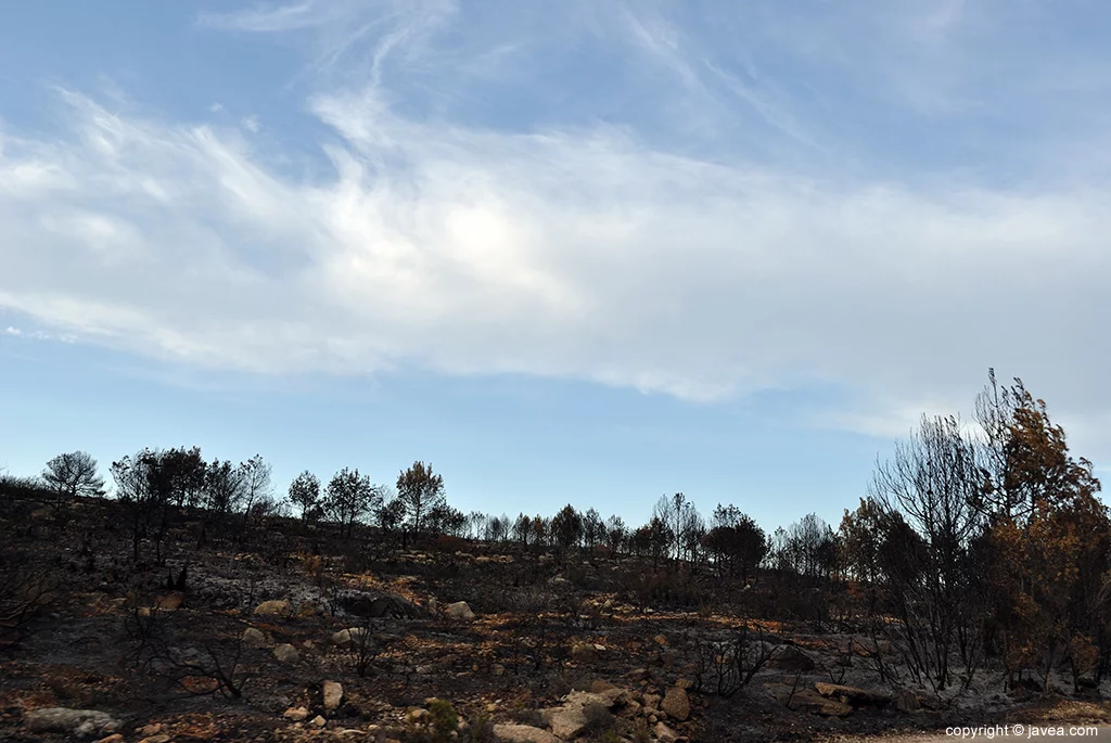 Resultado del incendio en Las Planas y Cabo de San Antonio