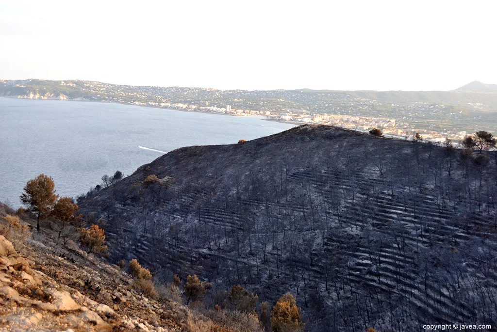 Resultado del incendio en Las Planas y Cabo de San Antonio