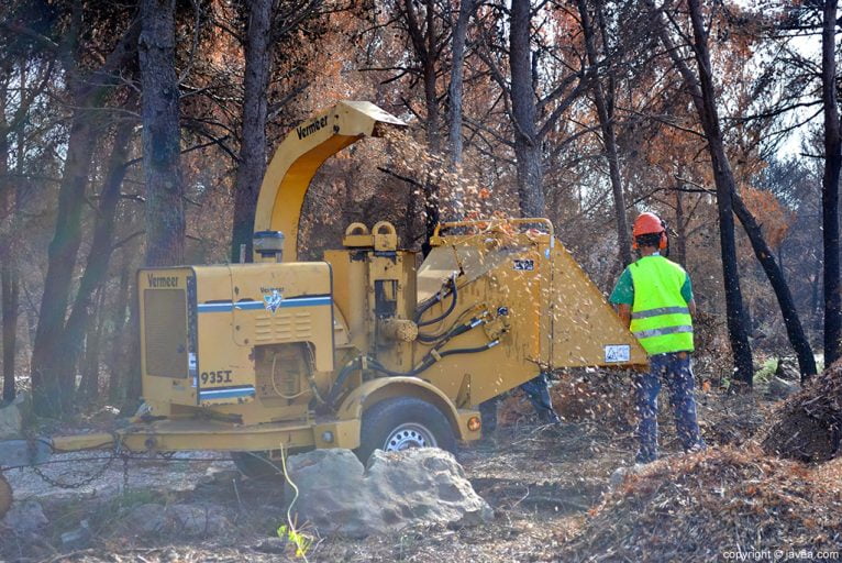 Una trituradora se encarga de despedazar las ramas de los pinos