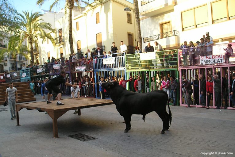 Toro delante del tablao