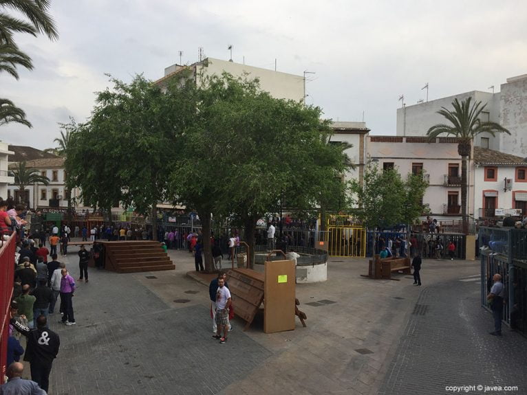 Bous al carrer en las fiestas del Nazareno