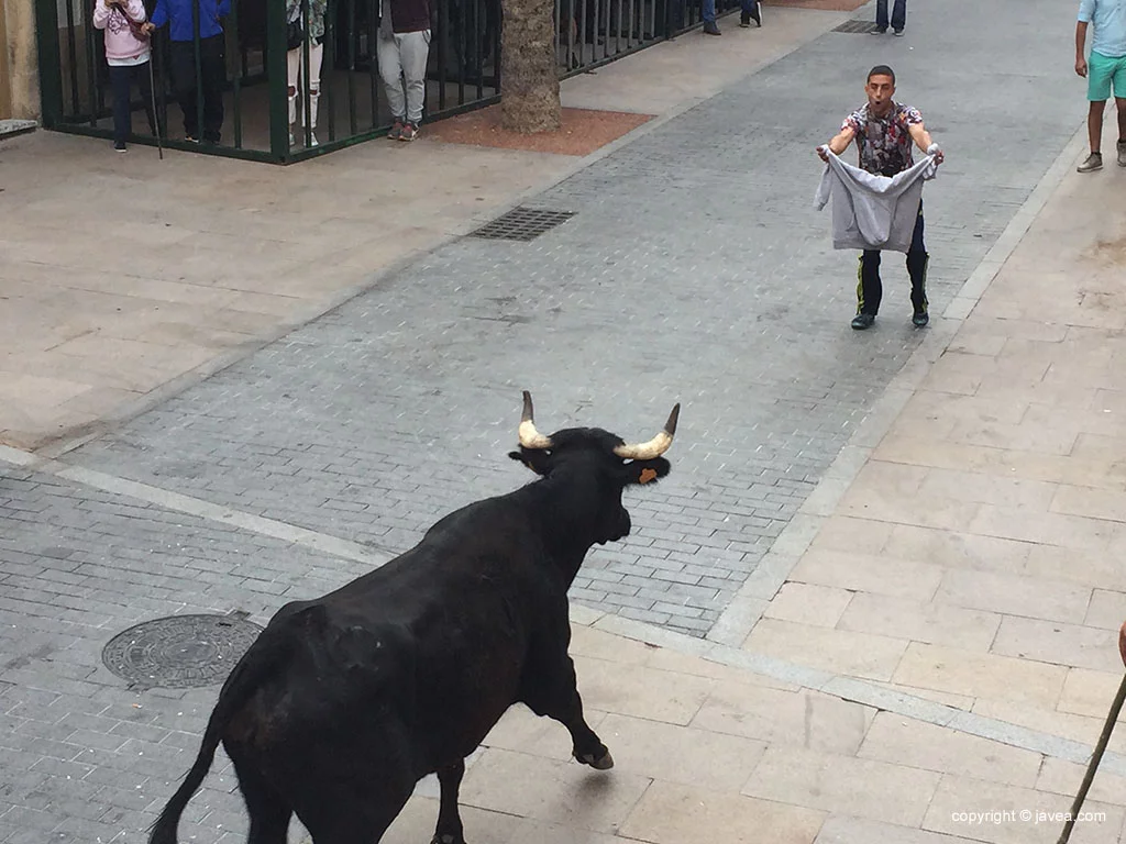 Bous al carrer en las fiestas del Nazareno