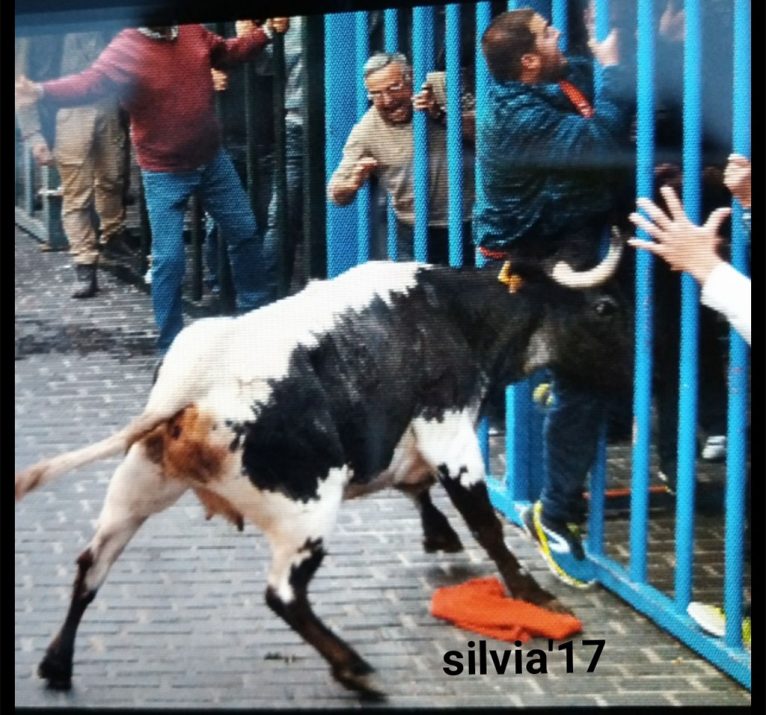 Cogida actos taurinos Xàbia