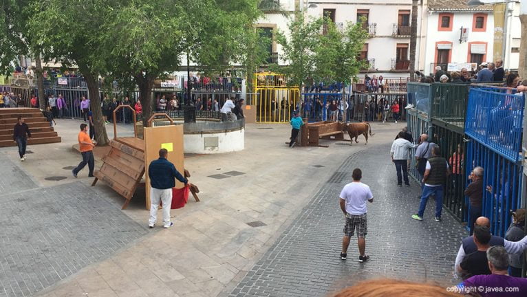 Primer día de 'Bous al carrer'