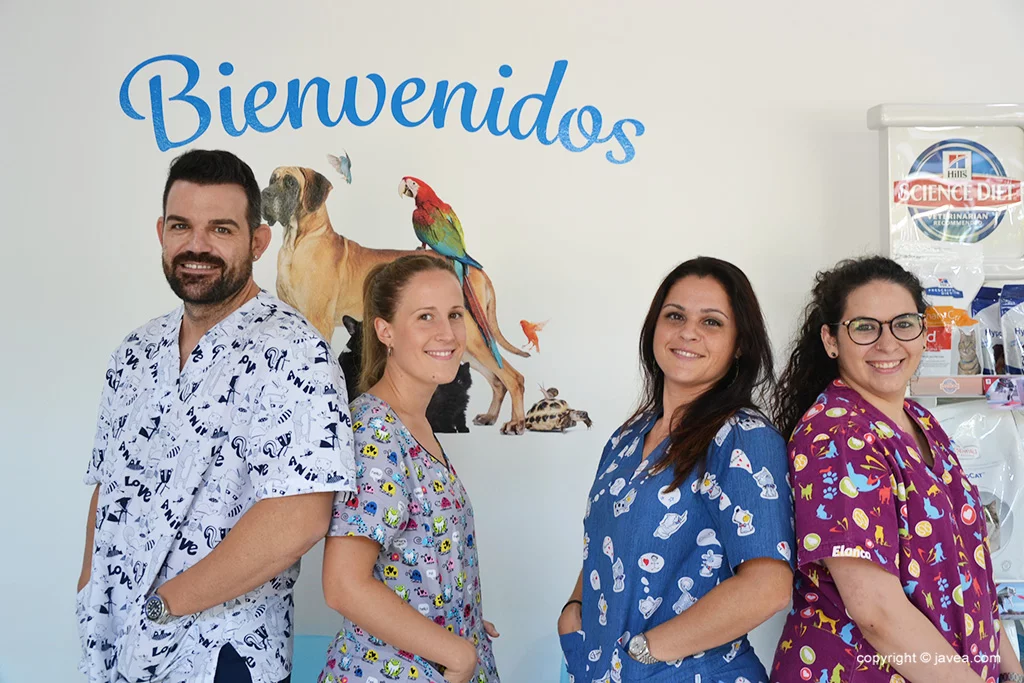 Equipo – Centro Veterinario Animalets