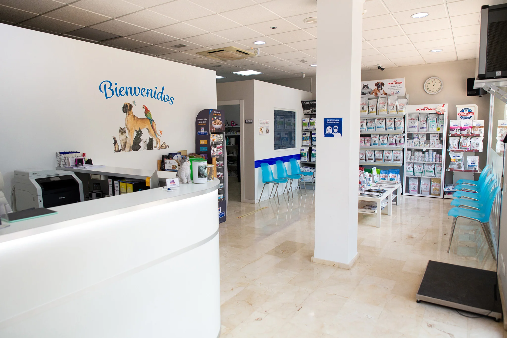 Veterinario en Jávea – Centro Veterinario Animalets