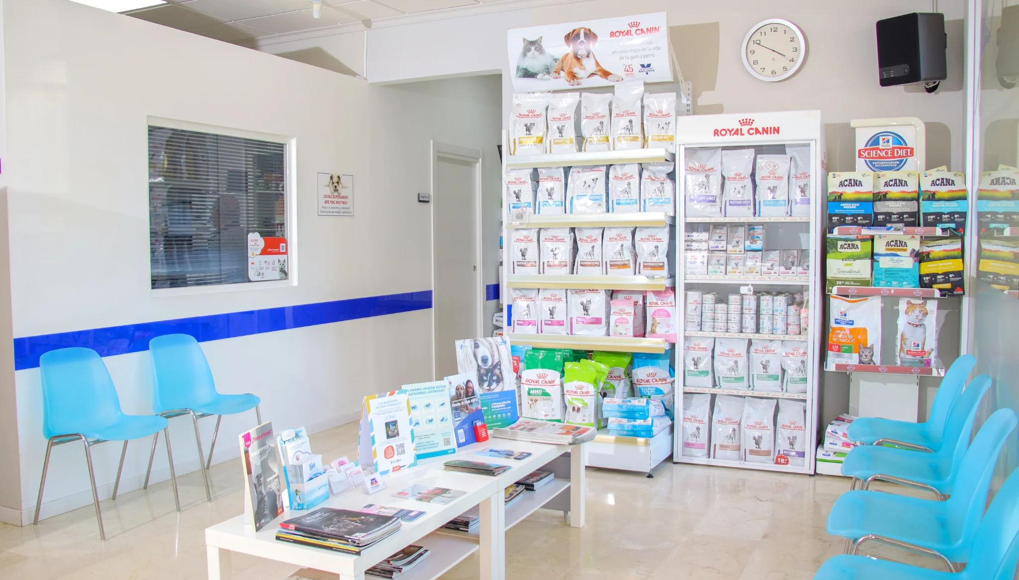 Veterinarios en Jávea – Centro Veterinario Animalets