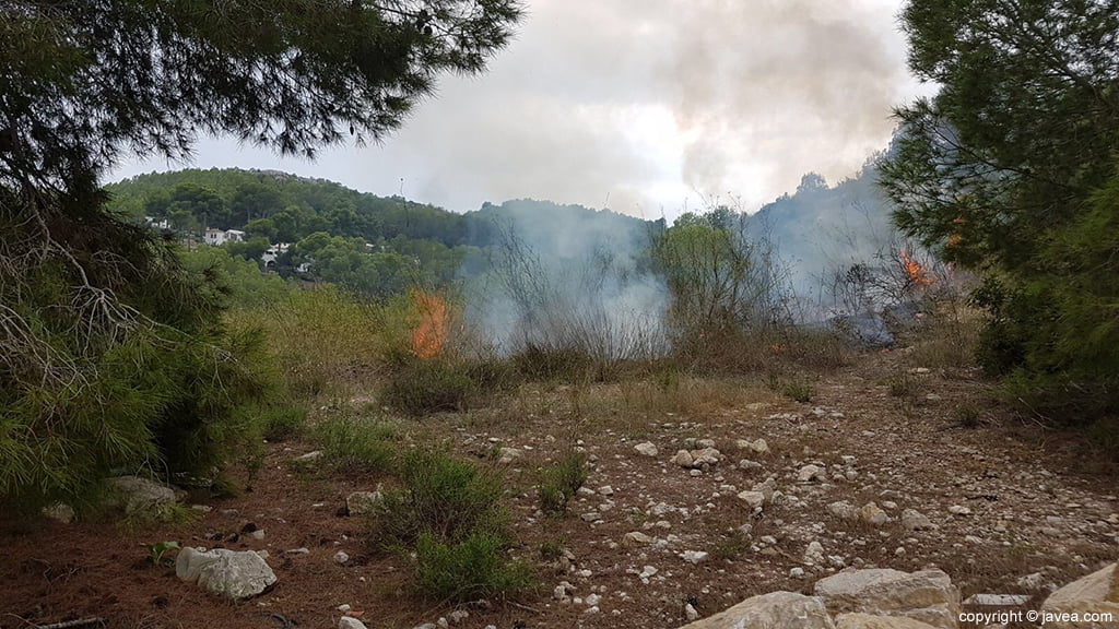 Incendio en Puerta Fenicia