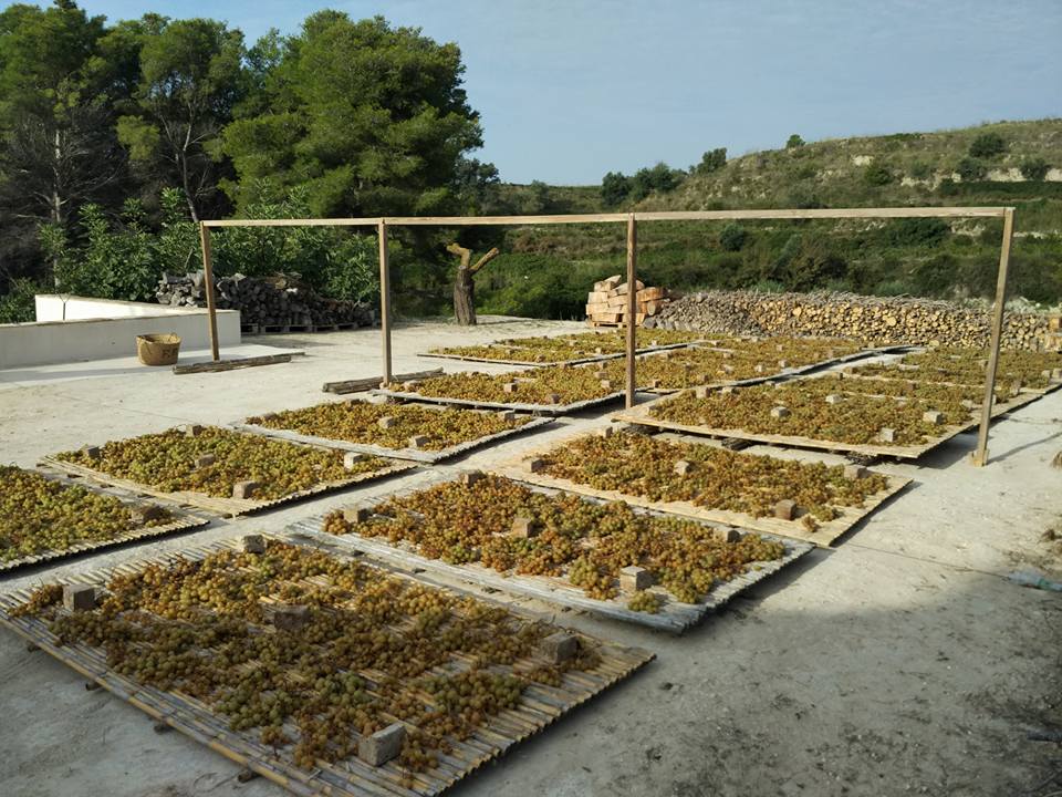 Excursión rural de los alumnos del colegio Santa María Magdalena de Benitatxell