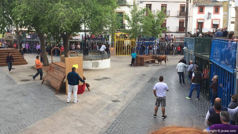 Jornada taurina en la Placeta del Convent