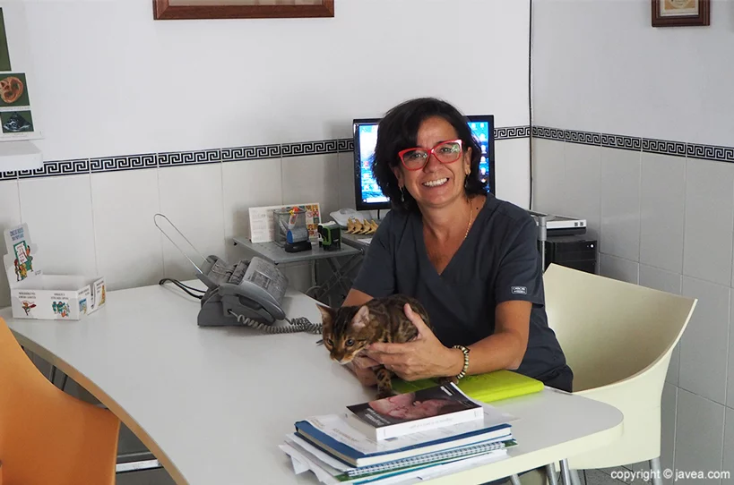 Antonia Clínica Veterinaria ASIS Vets