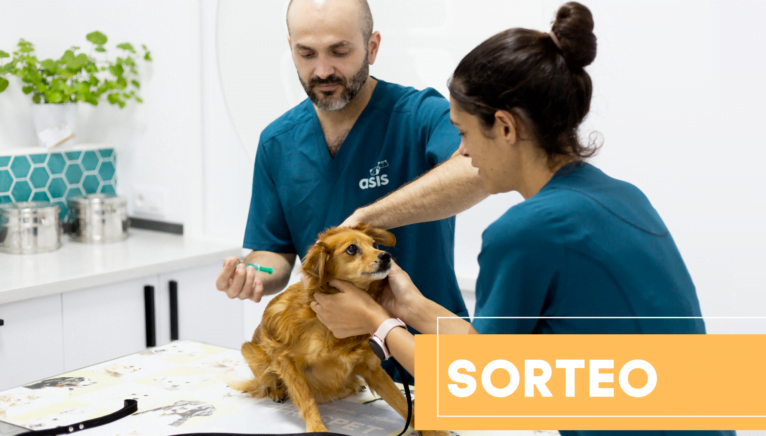 Clínica Veterinaria ASIS sortea un pack de vacunas completo para perro o gato