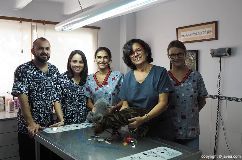 Equipo Clínica Veterinaria ASIS Vets