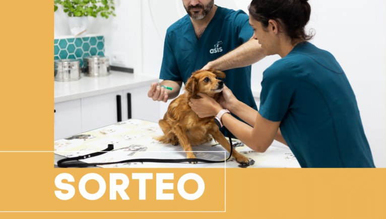 Sorteo Clínica Veterinaria ASIS Vets