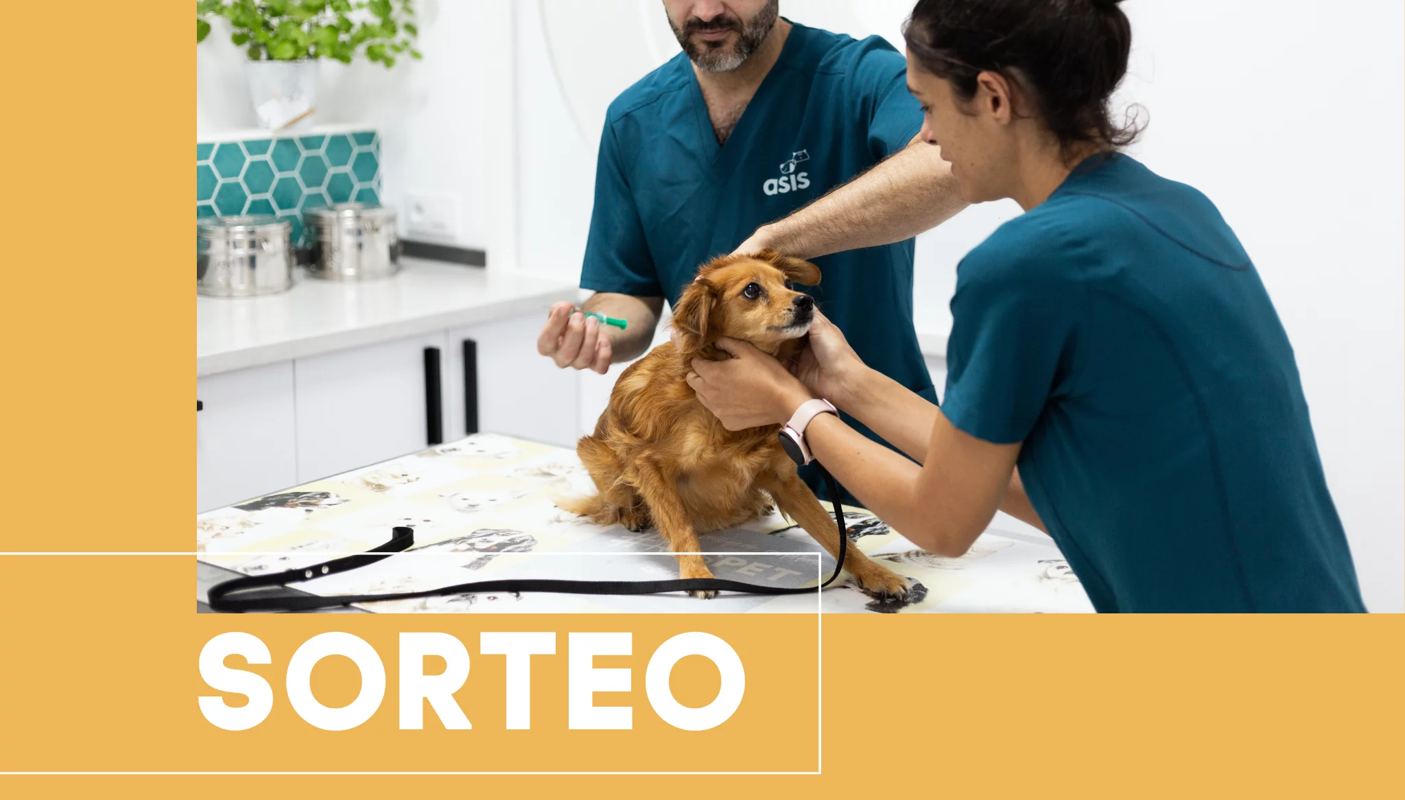 Sorteo Clínica Veterinaria ASIS Vets