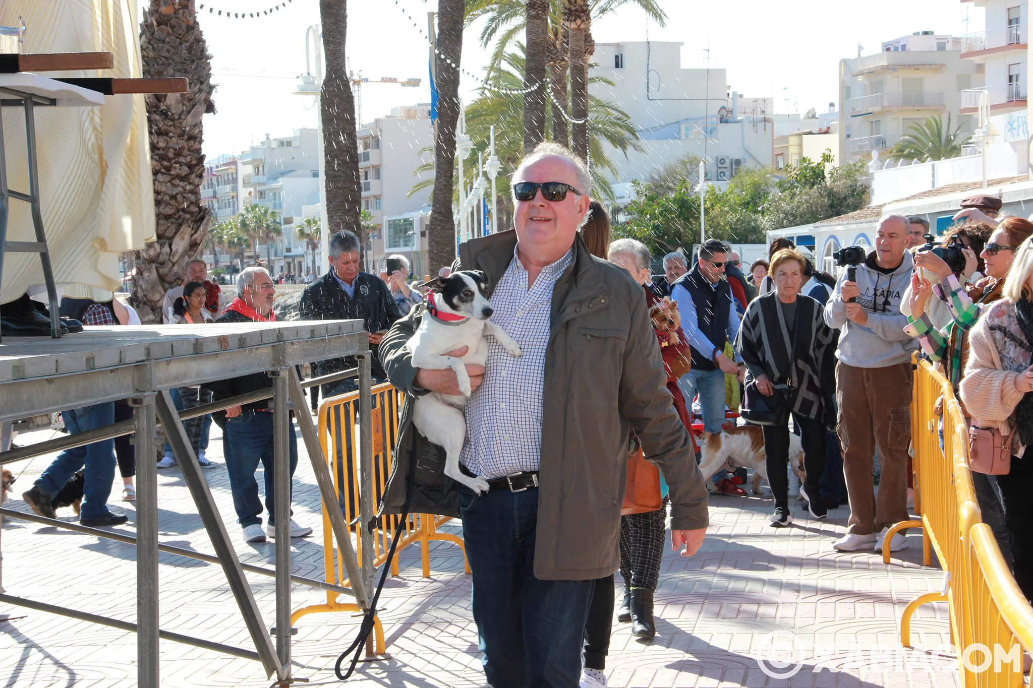 Día de San Antonio. Bendición de animales en Duanes de la Mar (11)