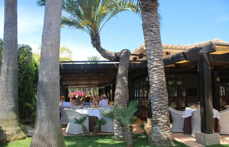 Terraza de Restaurante Masena