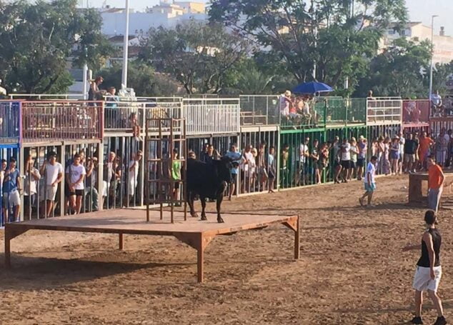 Imagen: Suelta de vaquillas en Fogueres 2017