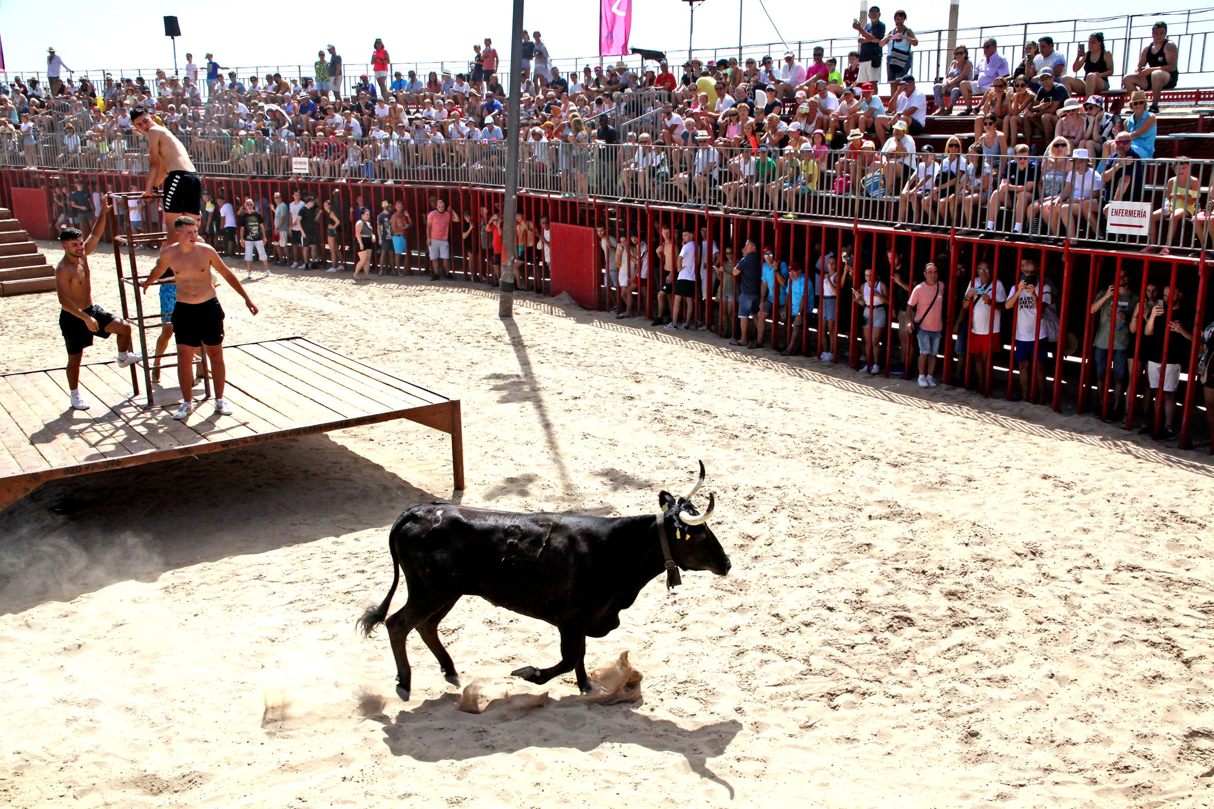 Primera sesión de Bous a la Mar de Xàbia