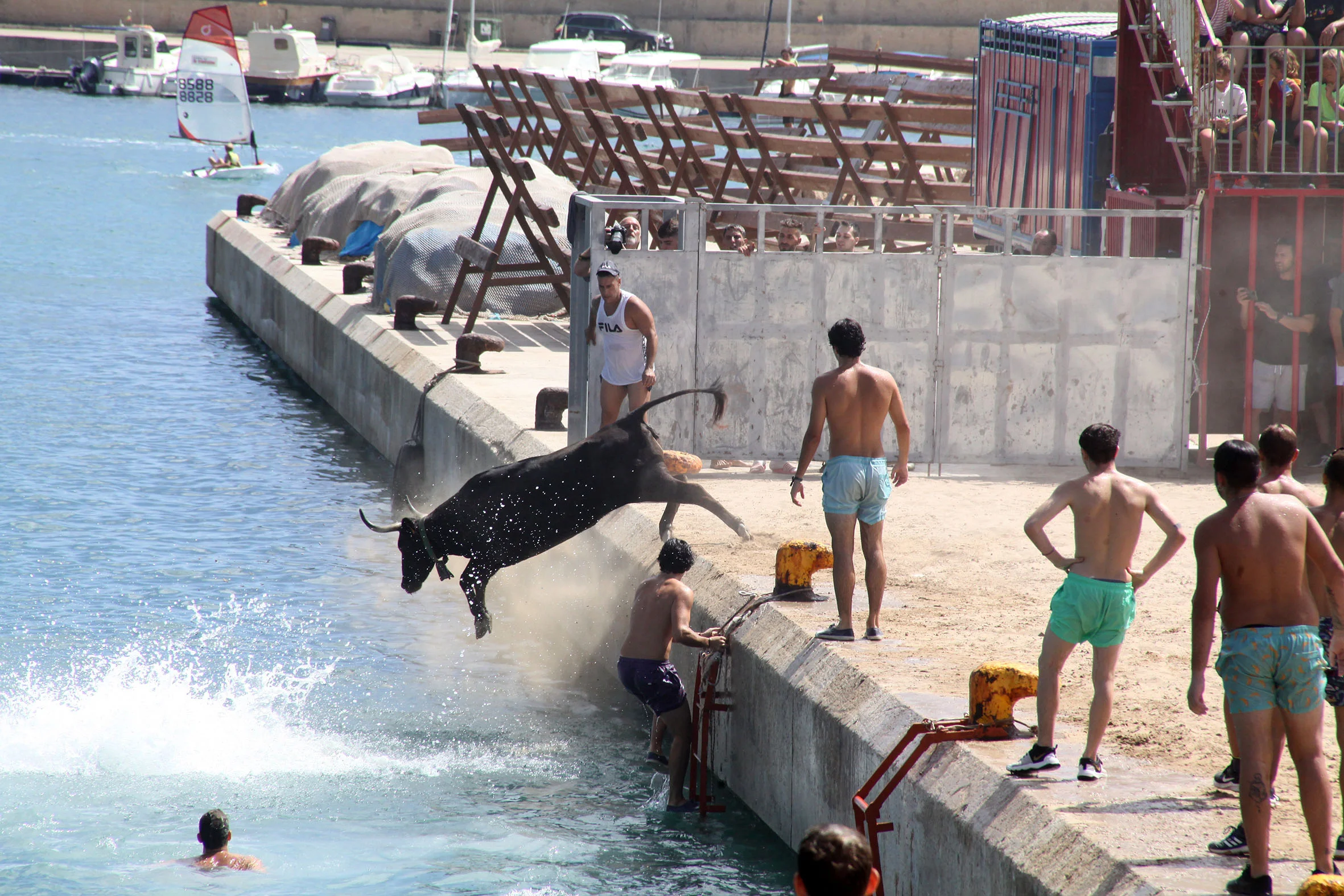 La vaquilla cae al mar en Xàbia