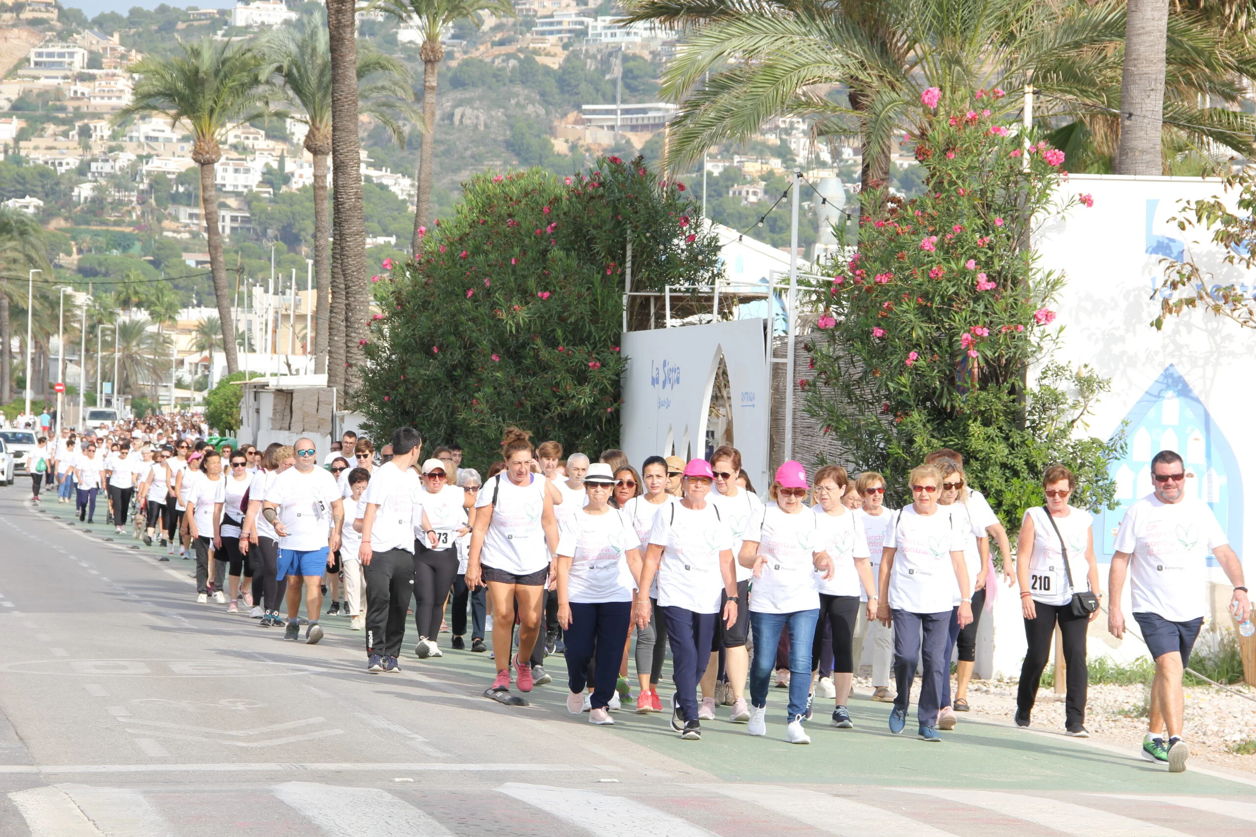 Multitudinaria Marcha contra el cáncer en Xàbia 2022