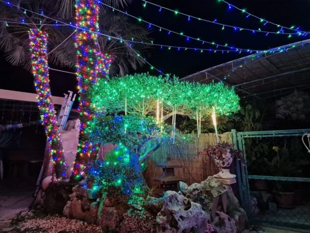 Imagen: Iluminación navideña en el jardín de Celeste y Marcos