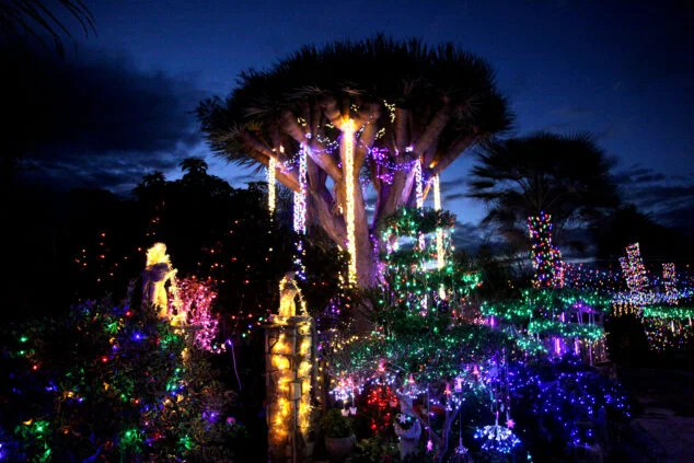 Imagen: Jardín con la iluminación navideña en la casa de Xàbia