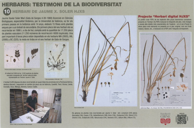 Paneles informativos de la exposición 'Herbaris,  testimoni de la biodiversitat' (10)