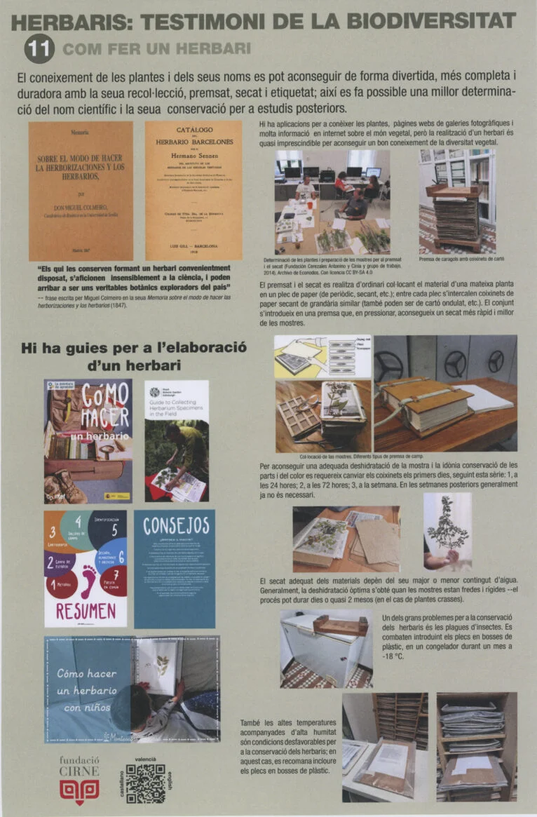 Paneles informativos de la exposición 'Herbaris,  testimoni de la biodiversitat' (11)