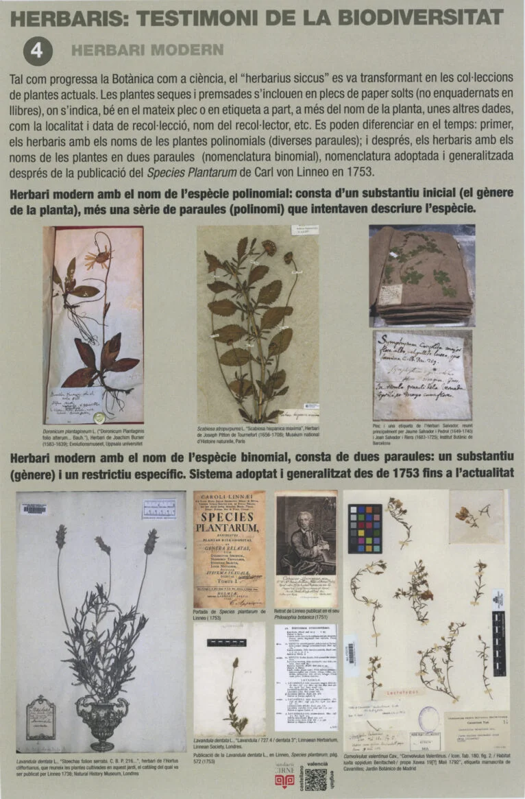 Paneles informativos de la exposición 'Herbaris,  testimoni de la biodiversitat' (4)