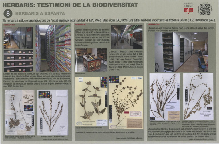 Paneles informativos de la exposición 'Herbaris,  testimoni de la biodiversitat' (8)