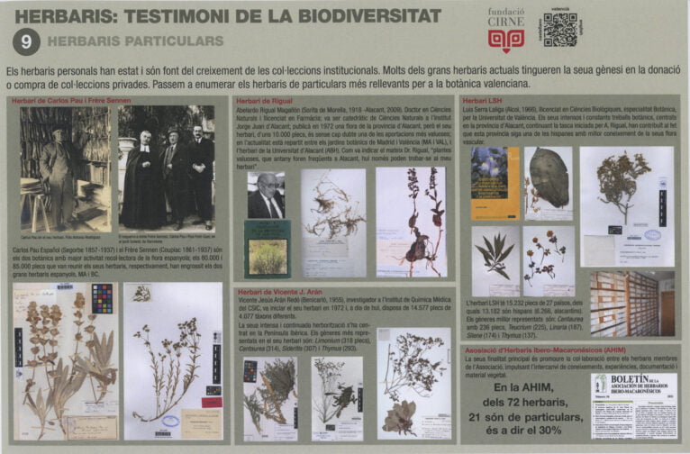 Paneles informativos de la exposición 'Herbaris,  testimoni de la biodiversitat' (9)