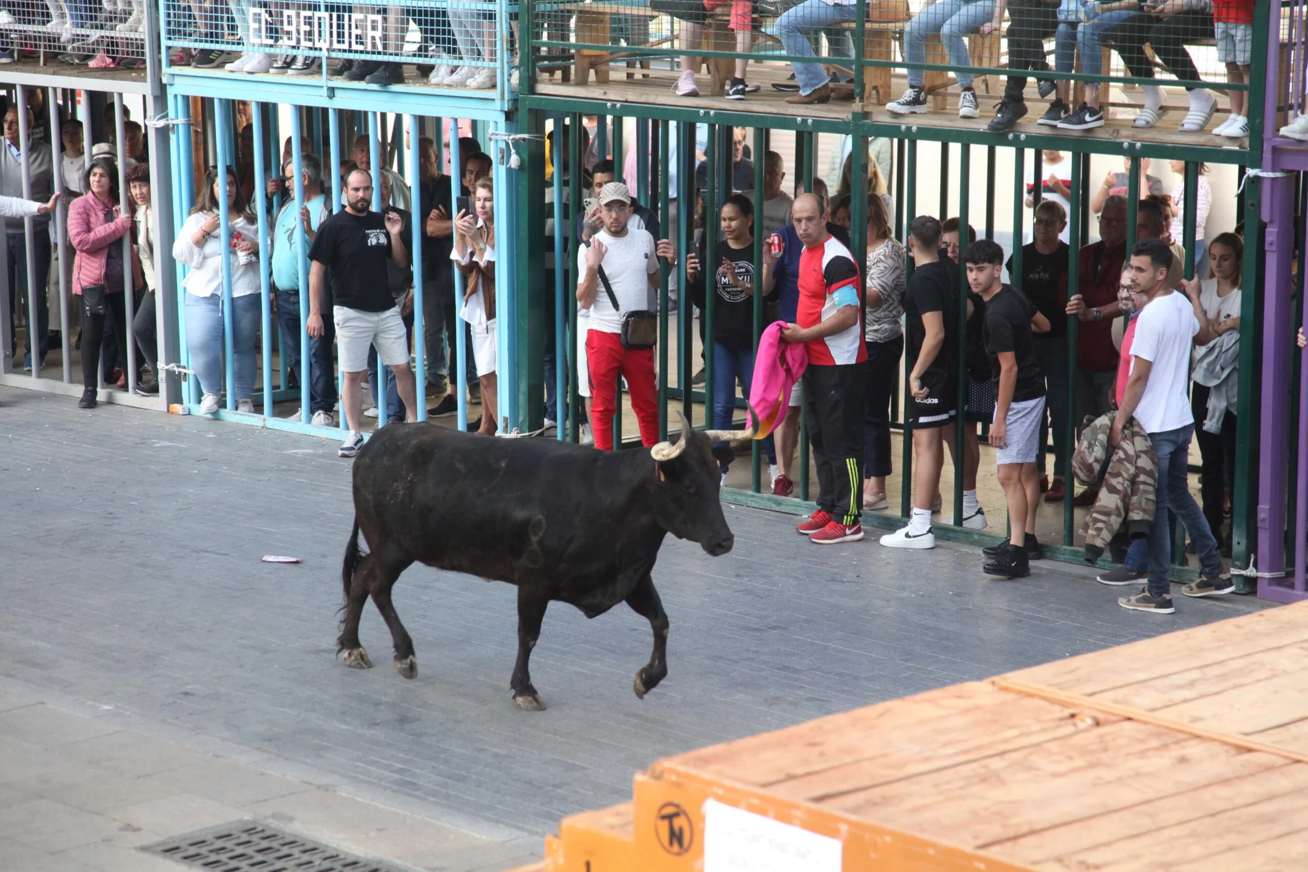 Primera sesión taurina dels Bous al Carrer en las fiestas de Jesús Nazareno 2023 (15)