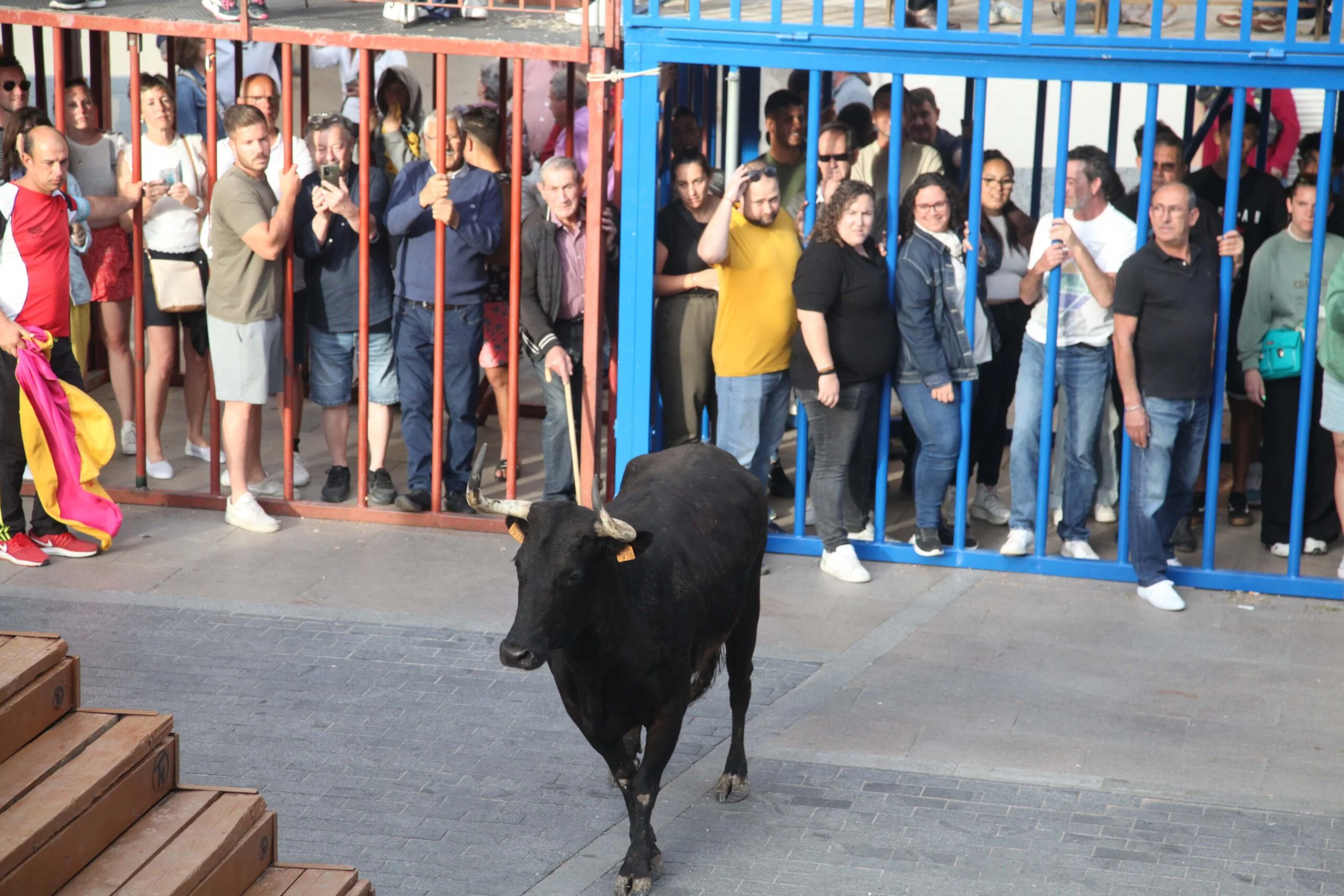 Primera sesión taurina dels Bous al Carrer en las fiestas de Jesús Nazareno 2023 (16)