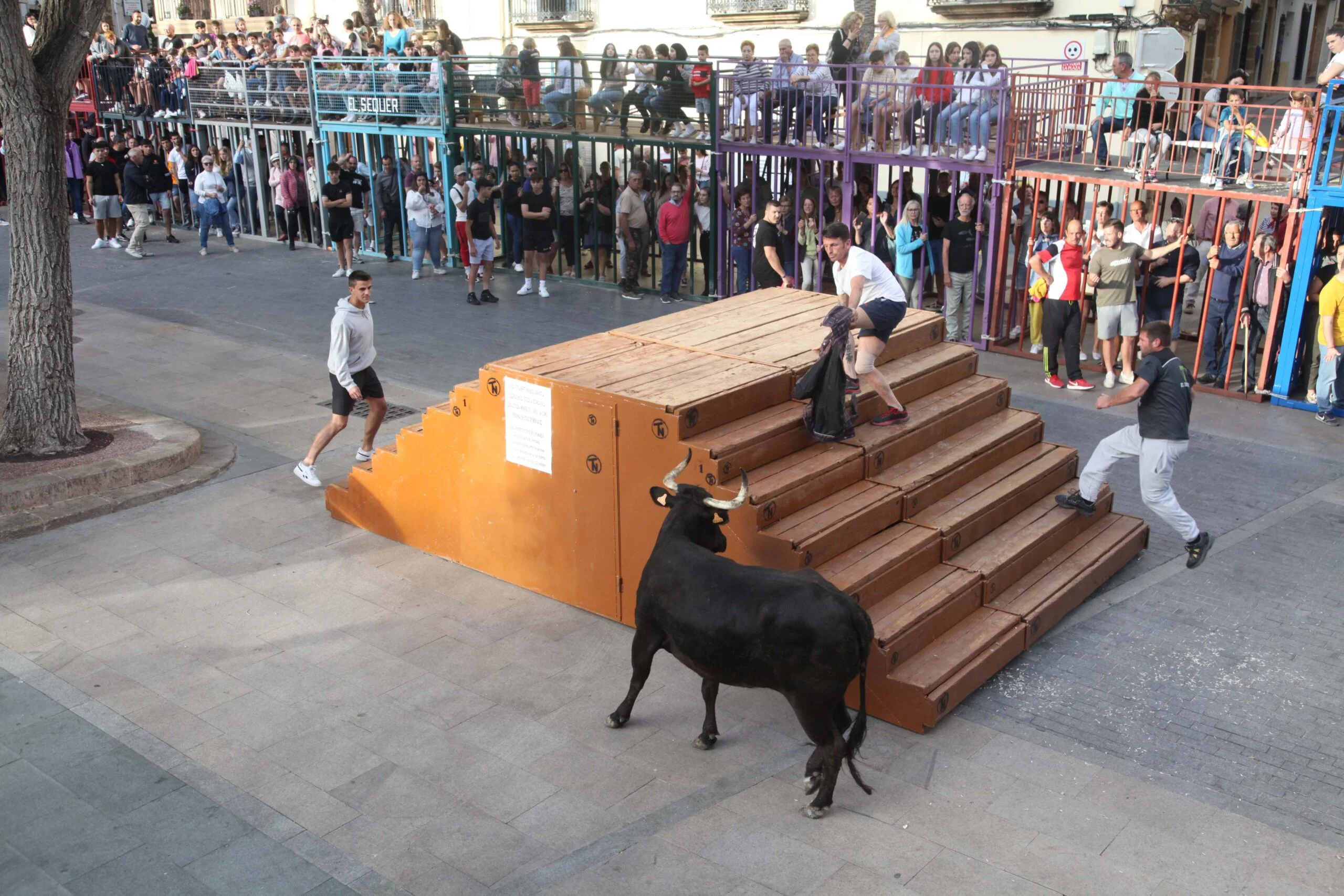 Primera sesión taurina dels Bous al Carrer en las fiestas de Jesús Nazareno 2023 (17)