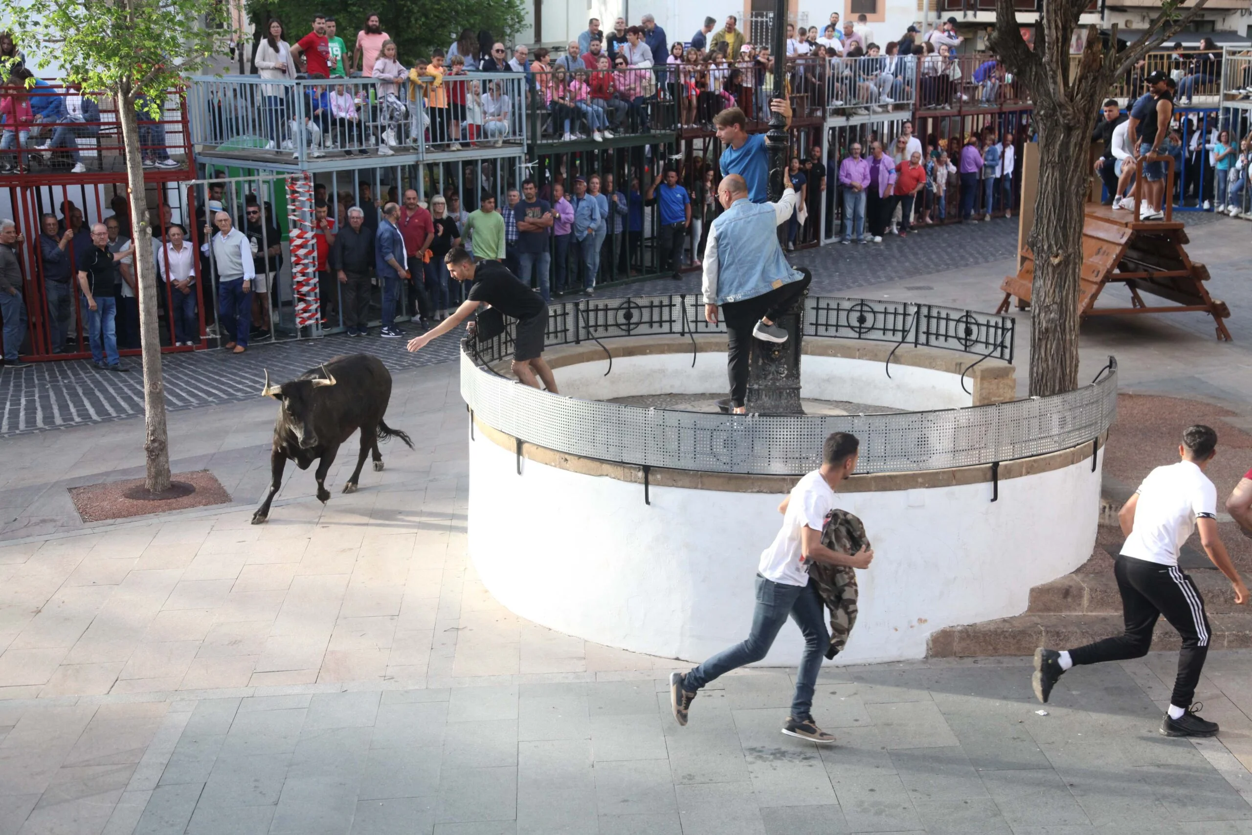 Primera sesión taurina dels Bous al Carrer en las fiestas de Jesús Nazareno 2023 (18)