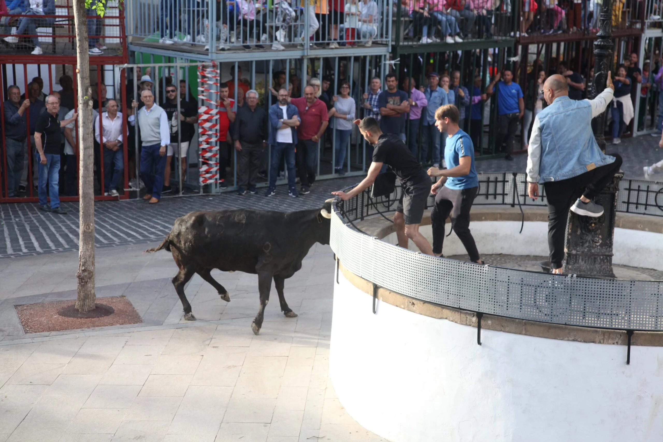 Primera sesión taurina dels Bous al Carrer en las fiestas de Jesús Nazareno 2023 (19)