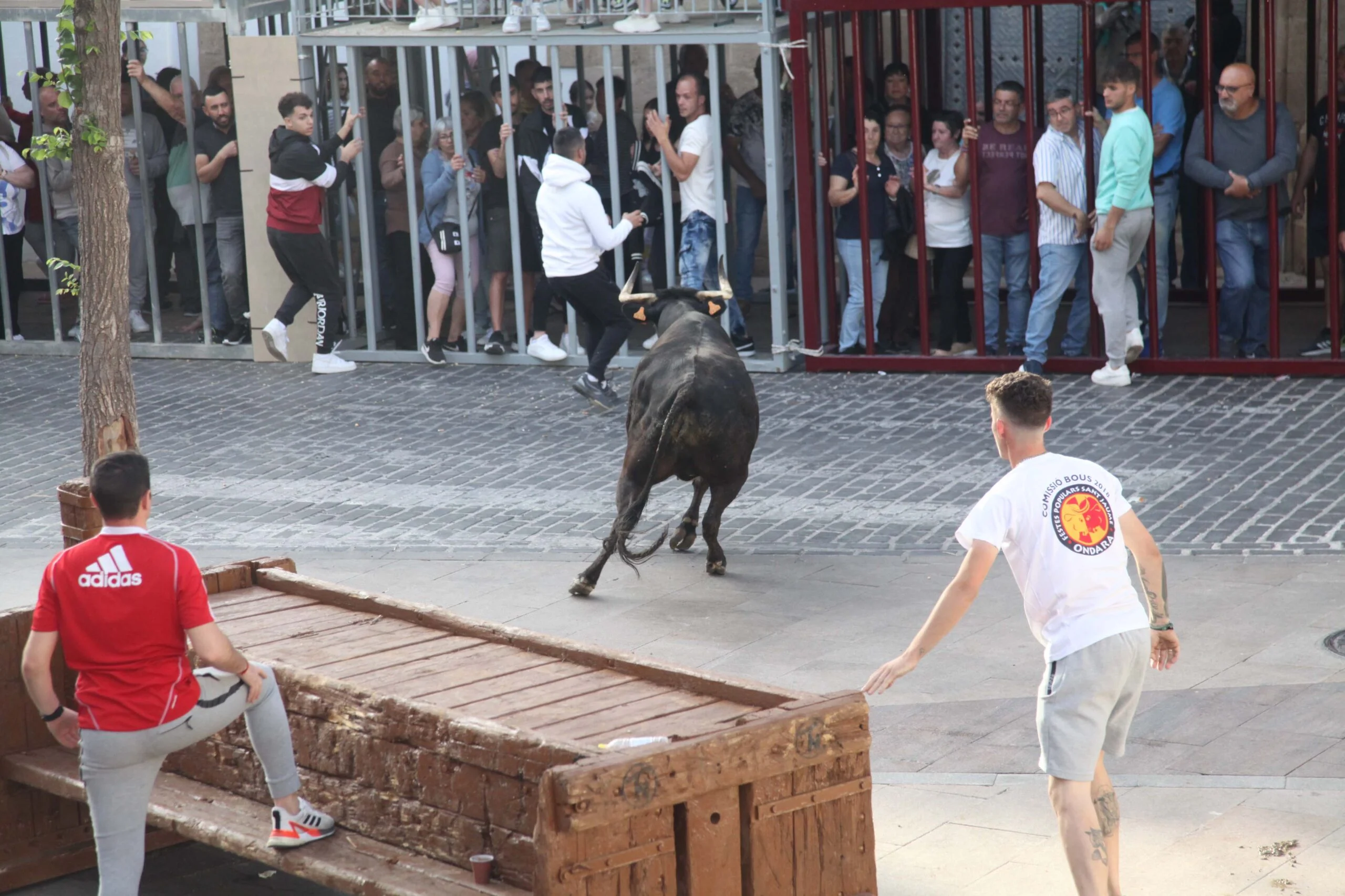 Primera sesión taurina dels Bous al Carrer en las fiestas de Jesús Nazareno 2023 (20)