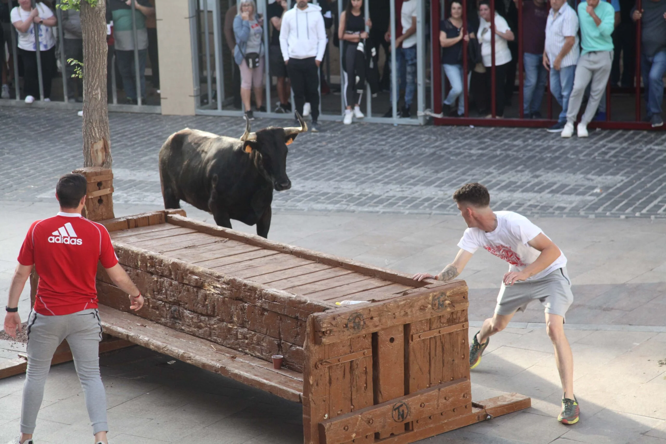 Primera sesión taurina dels Bous al Carrer en las fiestas de Jesús Nazareno 2023 (21)