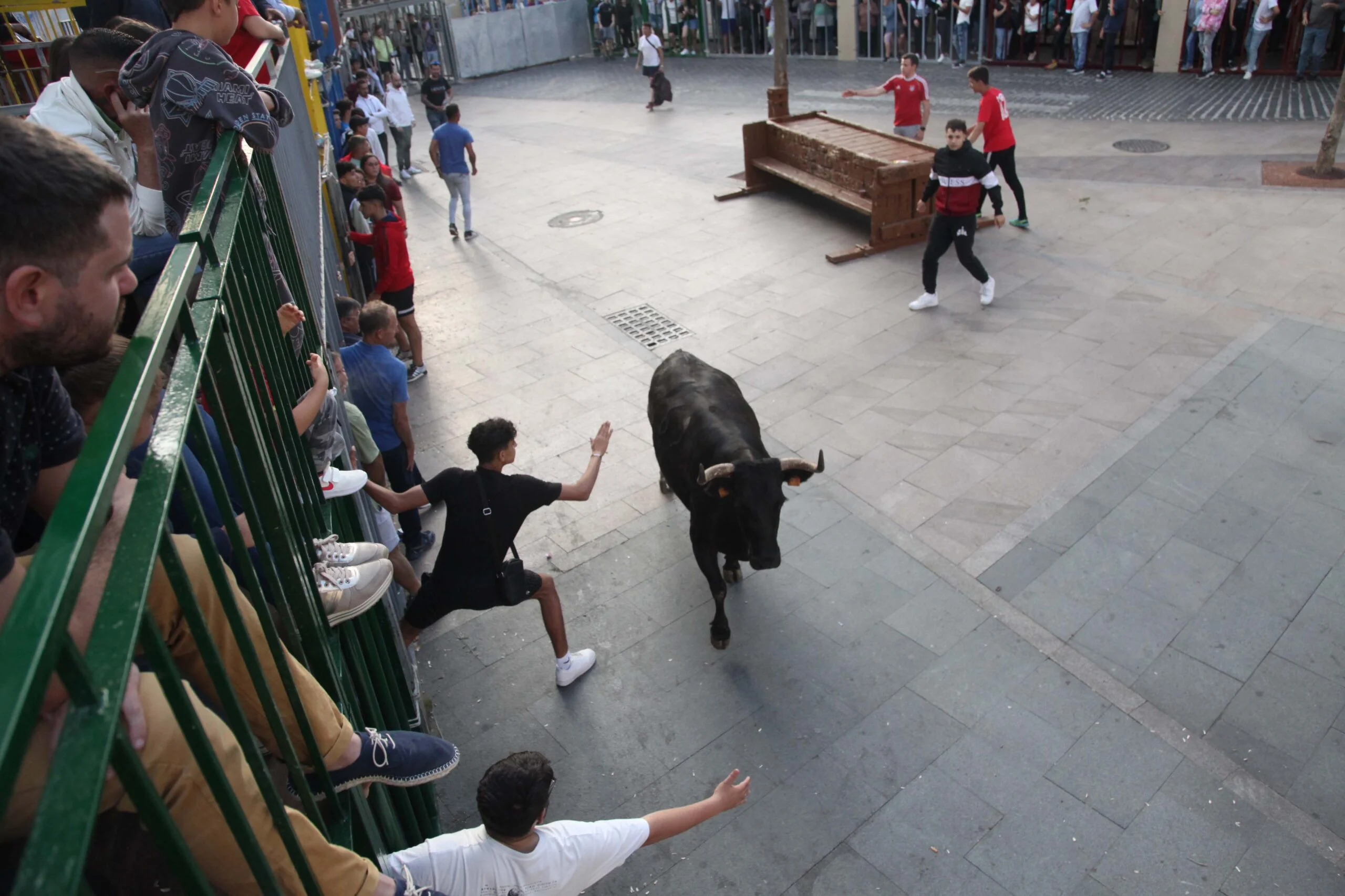 Jóvenes toreando a la vaquilla en Xàbia