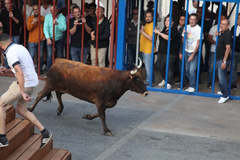 Primera sesión taurina dels Bous al Carrer en las fiestas de Jesús Nazareno 2023 (26)