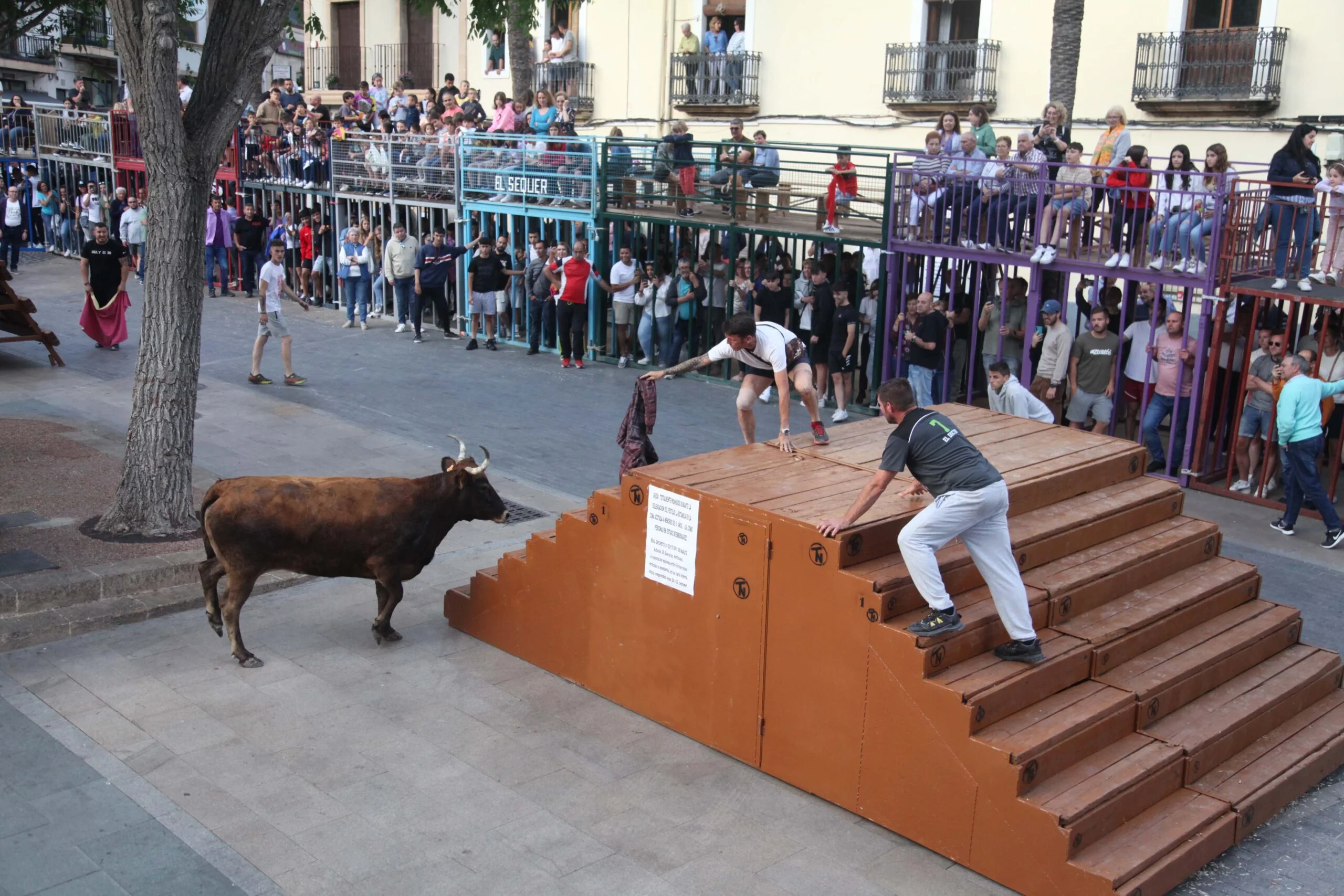 Primera sesión taurina dels Bous al Carrer en las fiestas de Jesús Nazareno 2023 (29)