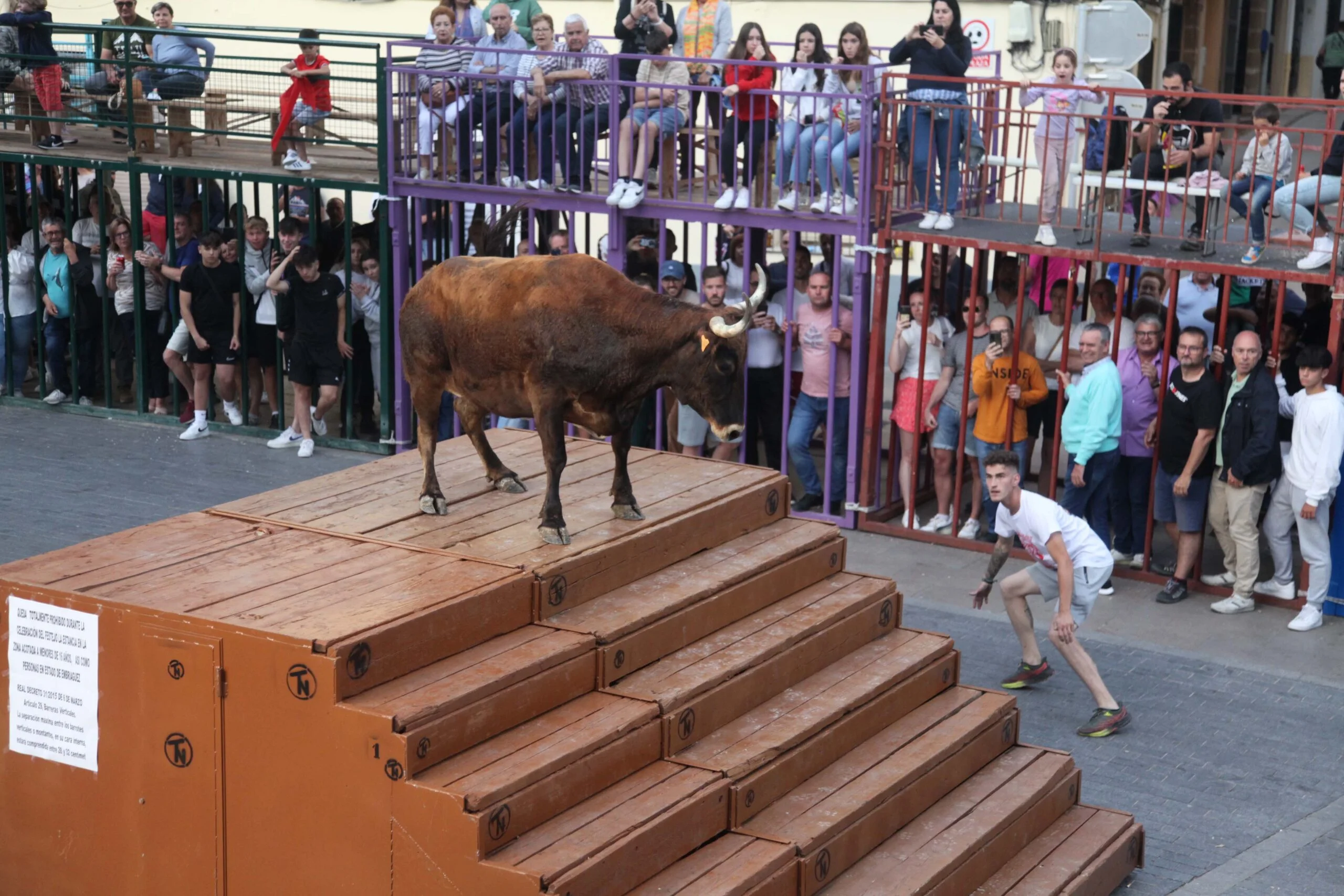 Primera sesión taurina dels Bous al Carrer en las fiestas de Jesús Nazareno 2023 (31)