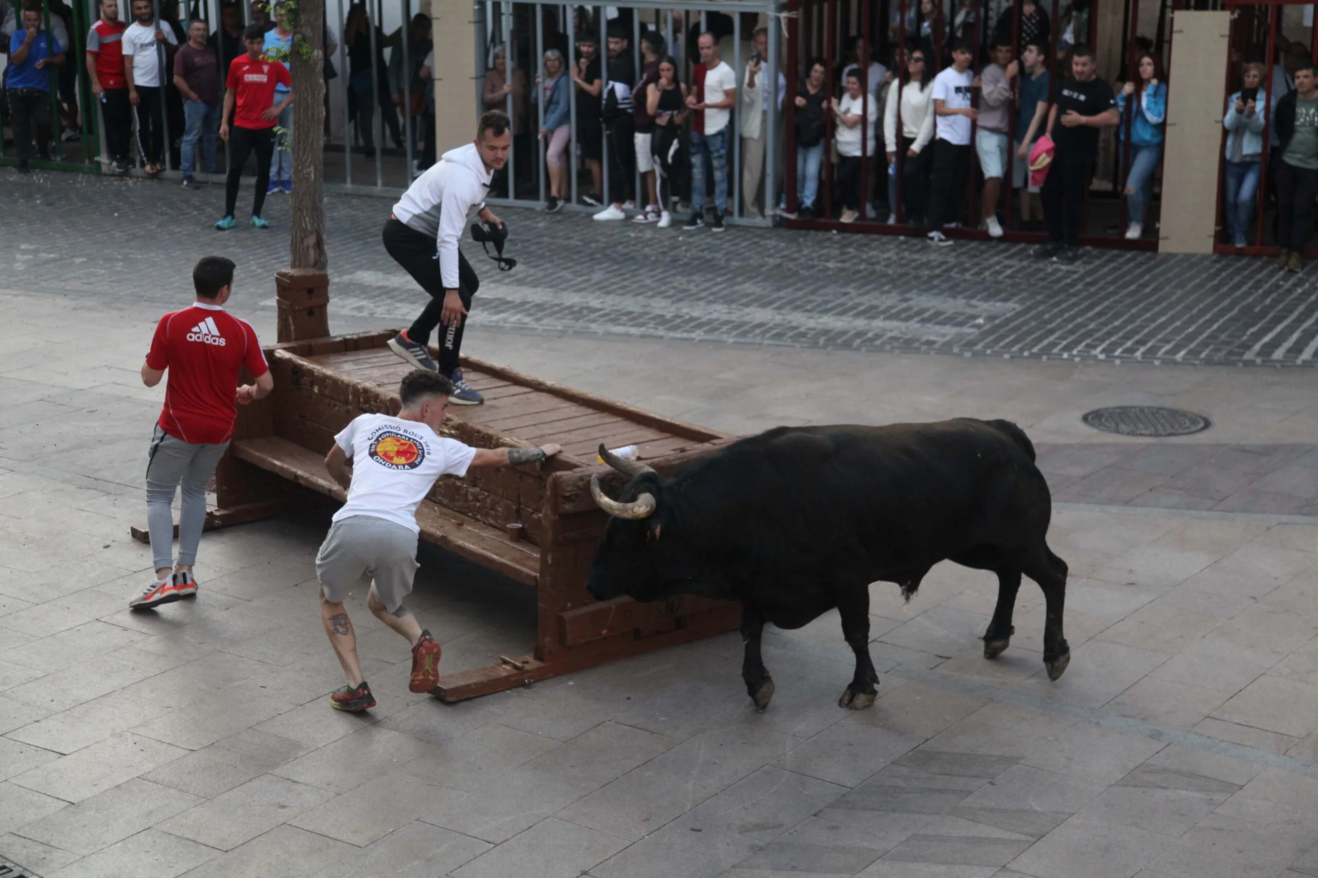 Primera sesión taurina dels Bous al Carrer en las fiestas de Jesús Nazareno 2023 (35)