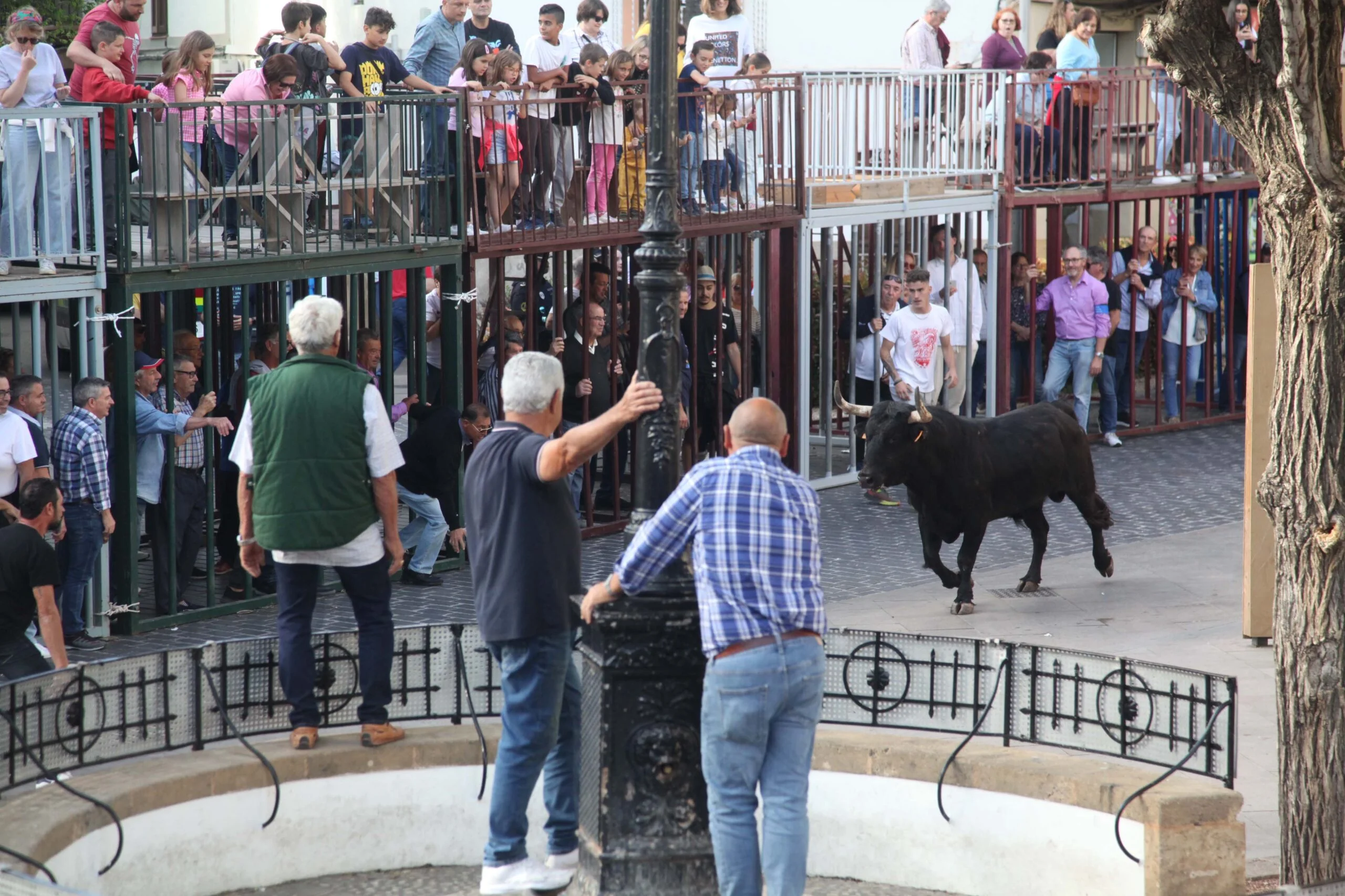 Primera sesión taurina dels Bous al Carrer en las fiestas de Jesús Nazareno 2023 (5)