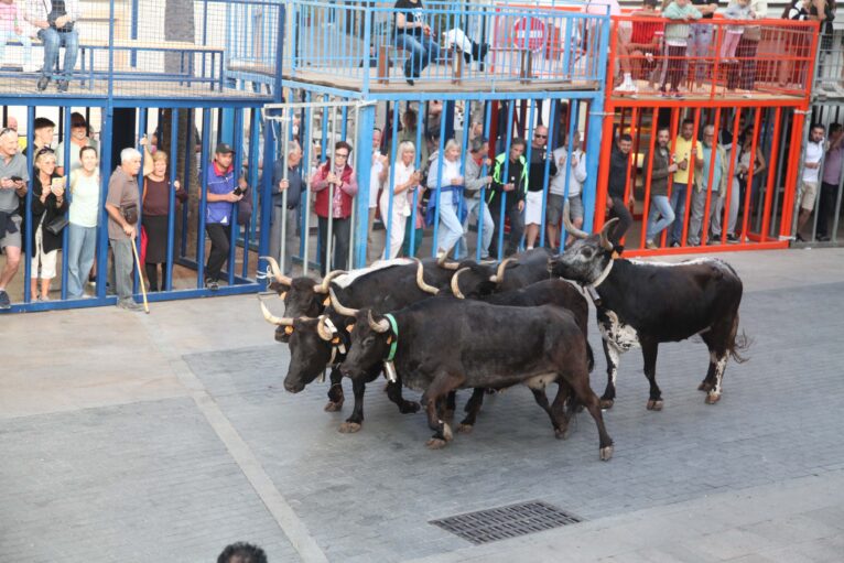 Primera sesión taurina dels Bous al Carrer en las fiestas de Jesús Nazareno 2023 (6)