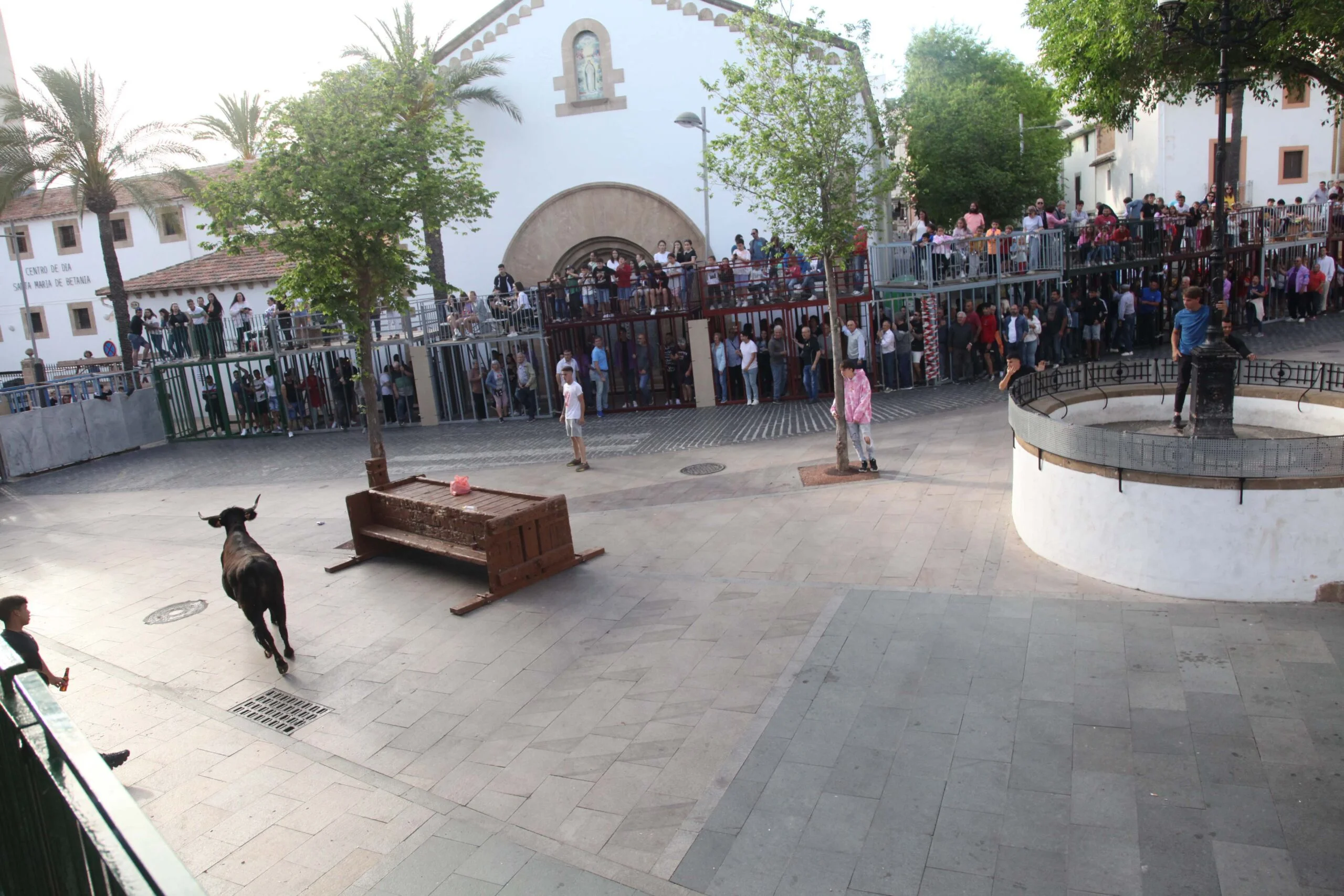 Primera sesión taurina dels Bous al Carrer en las fiestas de Jesús Nazareno 2023 (8)