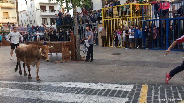 Imagen: Una sesión de bous al carrer en Xàbia