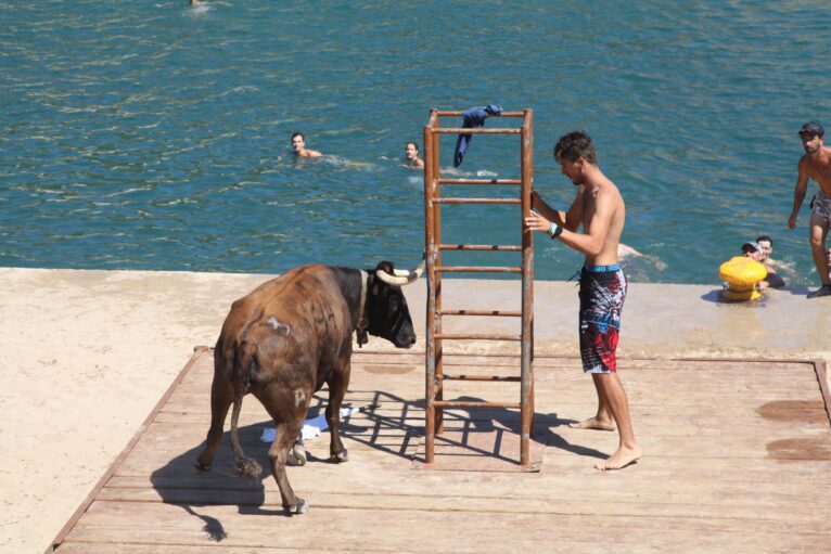 Inauguración del Baret y Bous a la Mar Xàbia 2023 (24)